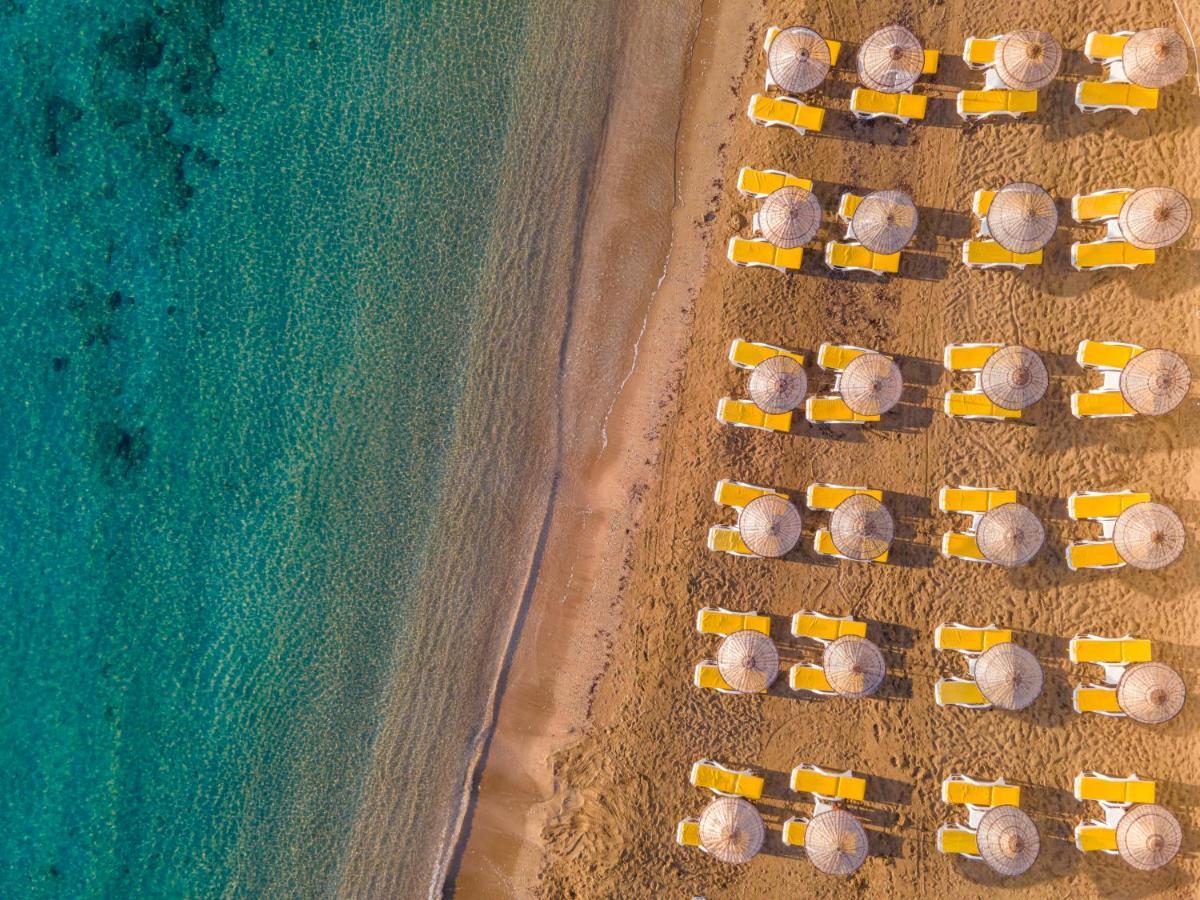 Salamis Bay Conti Resort Hotel & Casino Αμμόχωστος Εξωτερικό φωτογραφία Aerial view of a beach in Egypt
